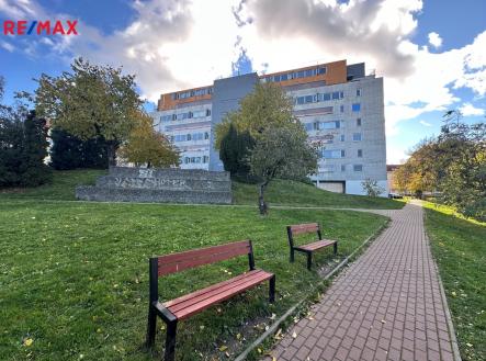 POhled na dům z parku | Pronájem bytu, 1+kk, 56 m²