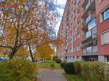 21.jpg | Pronájem bytu, 3+kk, 63 m²