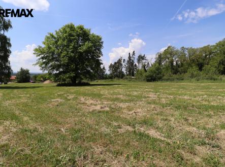 Pohled na pozemek | Prodej - pozemek pro bydlení, 1 738 m²