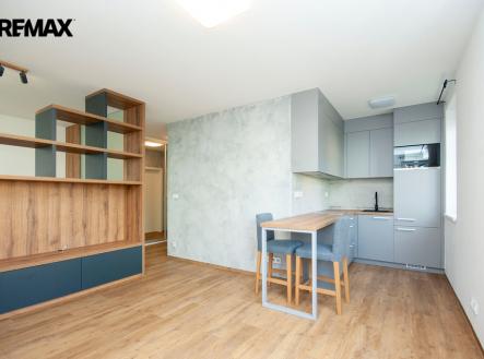 1.jpg | Pronájem bytu, 1+kk, 45 m²