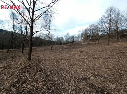 img-20250202-wa0000.jpg | Prodej - pozemek pro bydlení, 8 870 m²