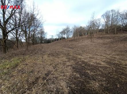 img-20250202-wa0002.jpg | Prodej - pozemek pro bydlení, 8 870 m²