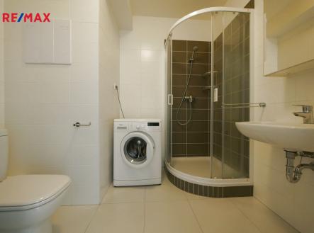 p1150303.jpg | Pronájem bytu, 1+kk, 36 m²