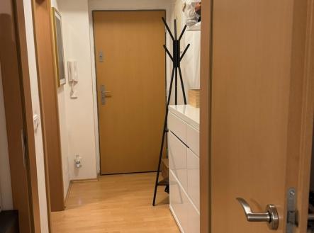 img-20251128-wa0000.jpg | Pronájem bytu, 1+kk, 30 m²