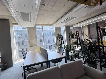 img-4164-002.jpg | Pronájem - kanceláře, 35 m²