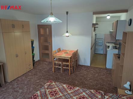 20231121-133738.jpg | Pronájem bytu, 1+kk, 30 m²