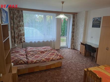 20231121-134016.jpg | Pronájem bytu, 1+kk, 30 m²