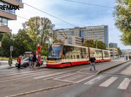 kr-sova-03.jpg | Pronájem bytu, 3+kk, 196 m²