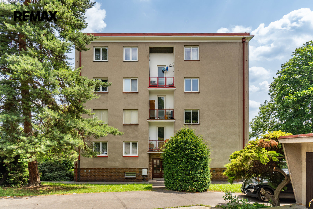 sarecka-35.jpg