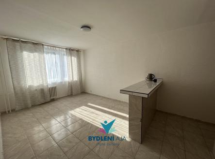 IMG-20240426-WA0004 | Pronájem bytu, 2+kk, 40 m²