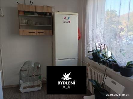 ba27aa5d-d18e-49b4-91f5-d18d640474b5 — копия | Prodej bytu, 2+1, 61 m²