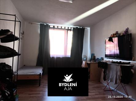 72aa50ed-a596-4fa6-bed1-95921e308415 — копия | Prodej bytu, 2+1, 61 m²