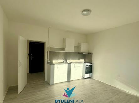  WhatsApp 2024-12-23 в 14.25.56_dd3949f1 | Pronájem bytu, 2+kk, 43 m²