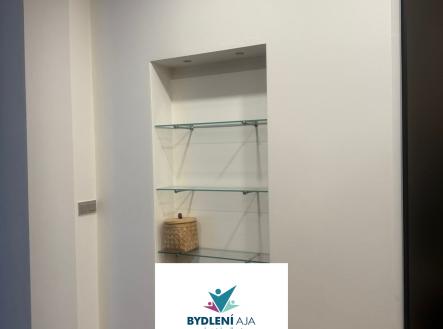 61d3e52c-63f4-4372-90c1-3bd1e1d9a703 | Pronájem bytu, 2+1, 51 m²