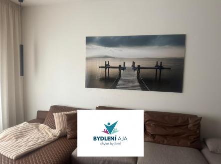 2a51393e-3cef-47d9-8399-3069abce48ca | Pronájem bytu, 2+1, 51 m²