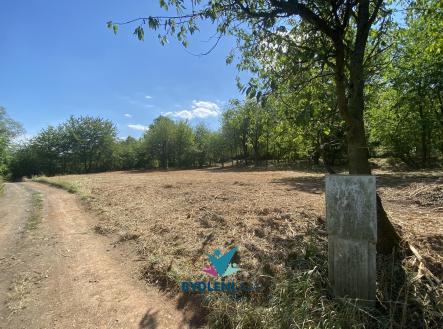 IMG_3431 | Prodej - pozemek pro bydlení, 1 674 m²