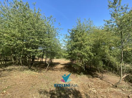 IMG_3425 | Prodej - pozemek pro bydlení, 1 674 m²