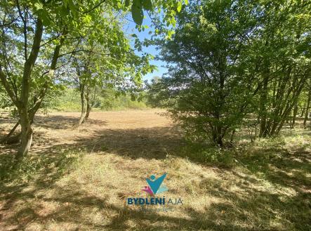 IMG_3419 | Prodej - pozemek pro bydlení, 1 674 m²