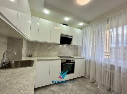 Prodej bytu, 2+1, 54 m² obrázek