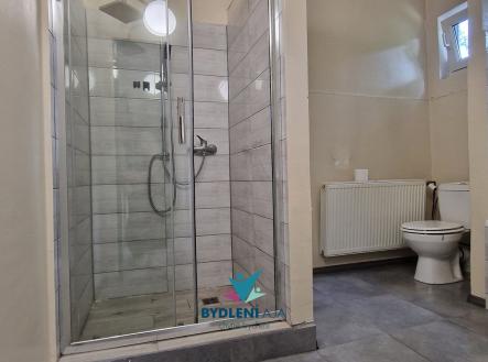 20250723_153316 | Pronájem - dům/vila, 110 m²