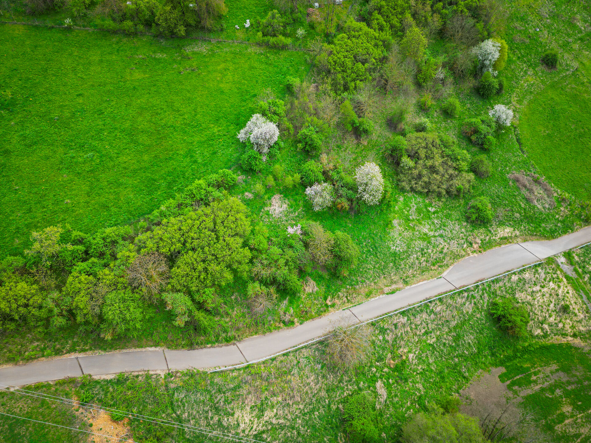 Prodej jedinečného pozemku vč. inženýrských sítí, 959 m², Trubská, U dibřího potoka, Beroun