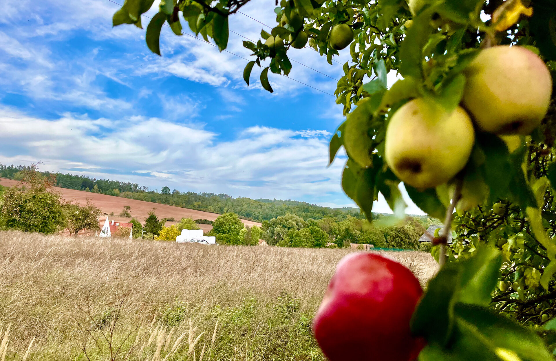 Prodej atraktivního pozemku, 1500 m2, Malá Černoc