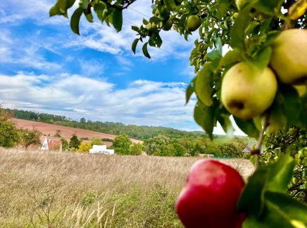 Prodej - pozemek pro bydlení, 1 500 m²