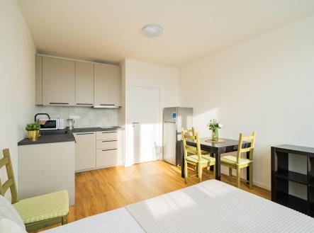 Pronájem bytu, 1+kk, 25 m²