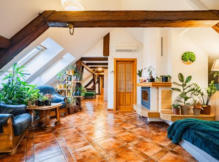 Jednotka 1 - obývací pokoj | Prodej bytu, atypický, 295 m²