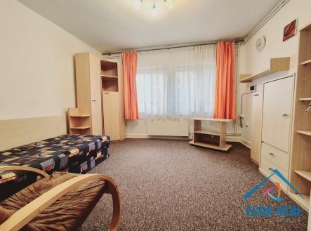 20240306-122432.jpg | Pronájem bytu, jiný, 13 m²