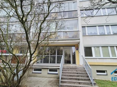 20260206-104702.jpg | Pronájem - kanceláře, 42 m²