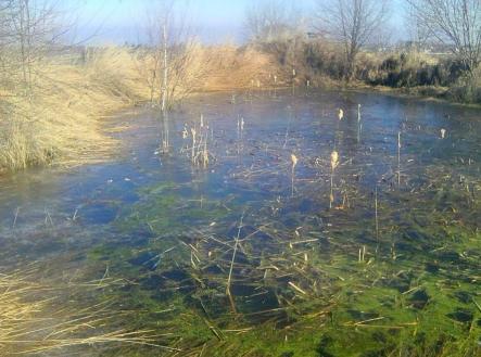 aa | Prodej - pozemek, zahrada, 7 161 m²