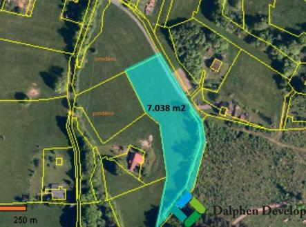 Snímek obrazovky 2025-06-04 145856.jpg | Prodej - pozemek, trvalý travní porost, 7 038 m²