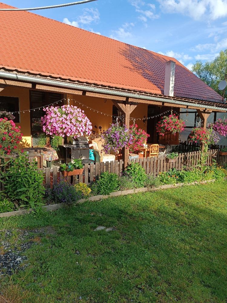 IMG_20240706_065124 (1).jpg