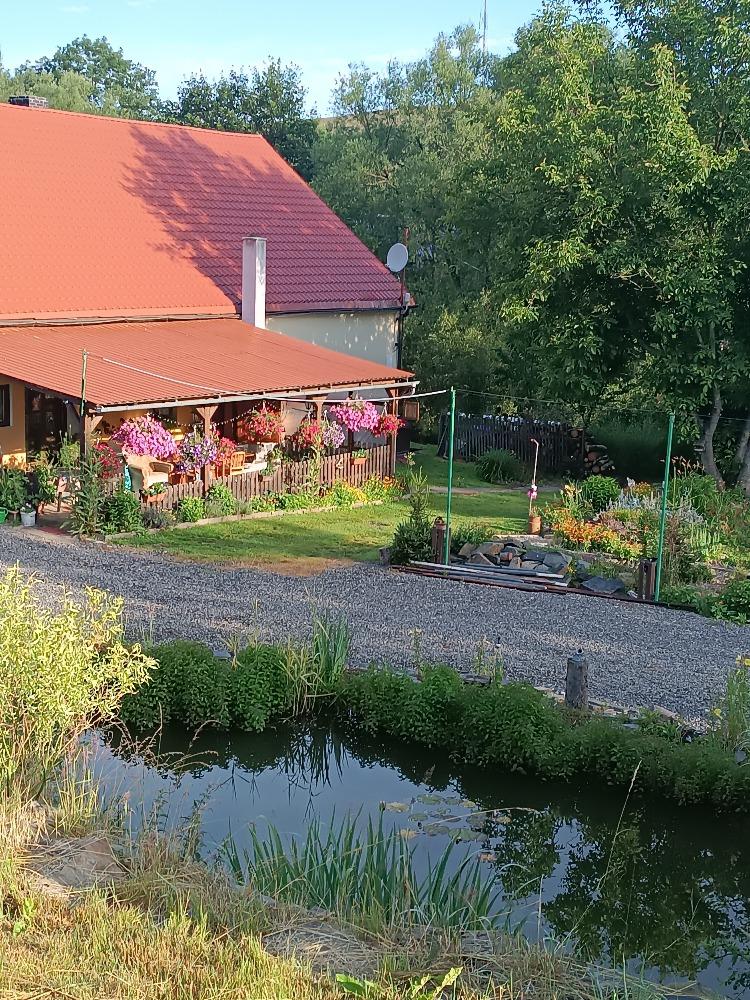 IMG_20240706_065951 (1).jpg