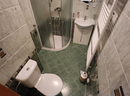 vana s kachličková podlaha, skříňka pod dřez, toaleta, dřez, a stěna dlaždic | Pronájem bytu, 3+kk, 55 m²