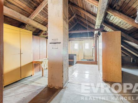 interiér prostor s přirozené světlo, strop dřeva, betonová podlaha, trámový strop, a klenutý strop | Prodej - dům/vila, 235 m²