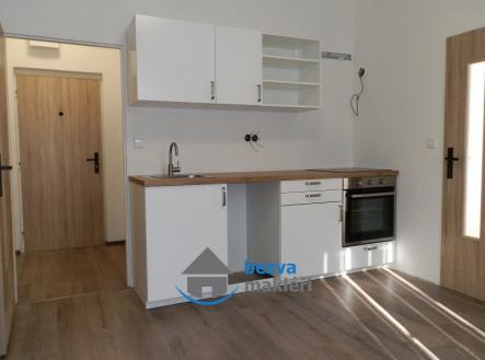 P3190576 | Pronájem bytu, 2+1, 53 m²