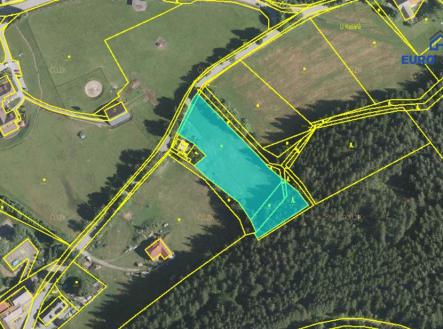 Prodej - pozemek, trvalý travní porost, 5 700 m²