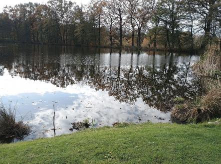 Prodej - pozemek, zemědělská půda, 24 907 m²