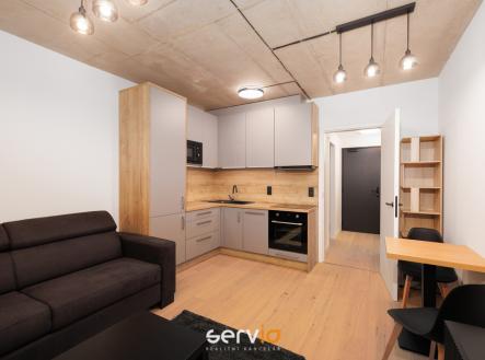 obyvak-2.jpg | Pronájem bytu, 1+kk, 47 m²