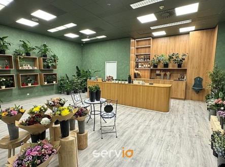 img-8810.jpg | Pronájem - obchodní prostor, 65 m²