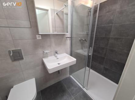 20220315-154247.jpg | Pronájem bytu, 1+kk, 32 m²