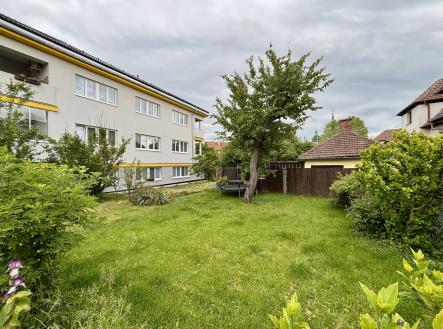 IMG_8503 | Pronájem - pozemek, zahrada, 299 m²