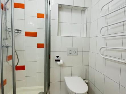 IMG_5463 | Pronájem bytu, 2+kk, 37 m²