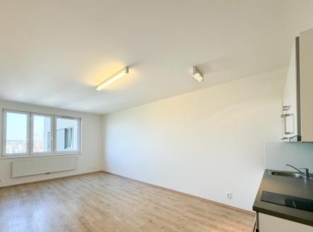 IMG_7447.jpg | Pronájem bytu, 1+kk, 33 m²