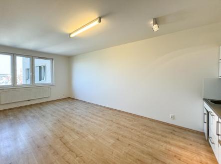 IMG_7446.jpg | Pronájem bytu, 1+kk, 33 m²