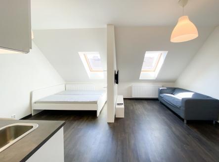 IMG_4059.jpg | Pronájem bytu, 1+kk, 35 m²