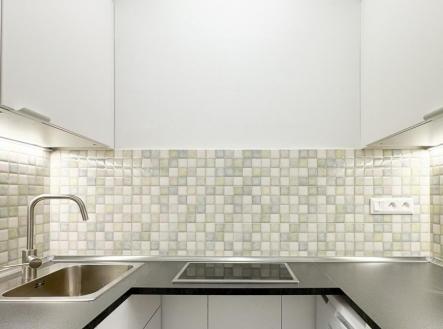 IMG_0452.jpg | Pronájem bytu, 1+kk, 33 m²