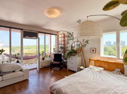 IMG_2682.jpg | Pronájem bytu, 1+kk, 65 m²